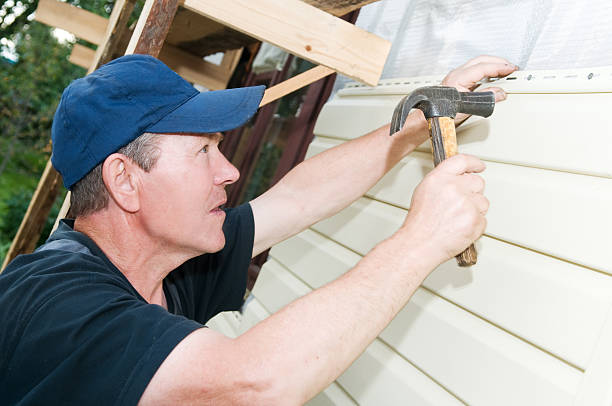 Best Siding Painting and Refinishing  in Topaz Ranch Estates, NV