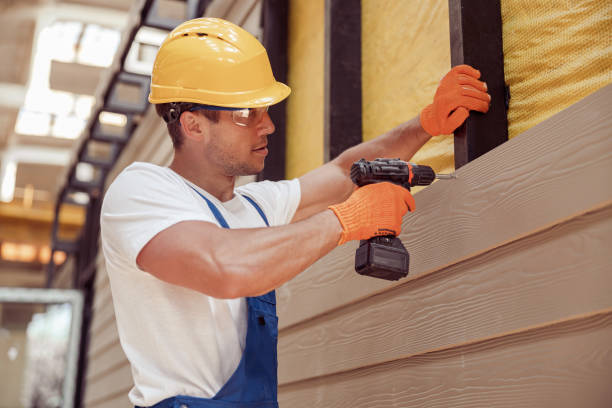 Best Aluminum Siding Installation  in Topaz Ranch Estates, NV