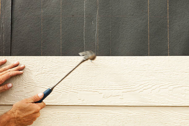 Affordable Siding Repair and Maintenance Services in Topaz Ranch Estates, NV